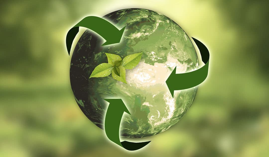 Happy Earth Day from Crownhill Packaging
