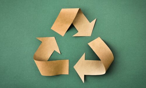 5 Eco-Friendly Packaging Trends Transforming the Packaging Industry in 2025